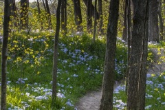 path